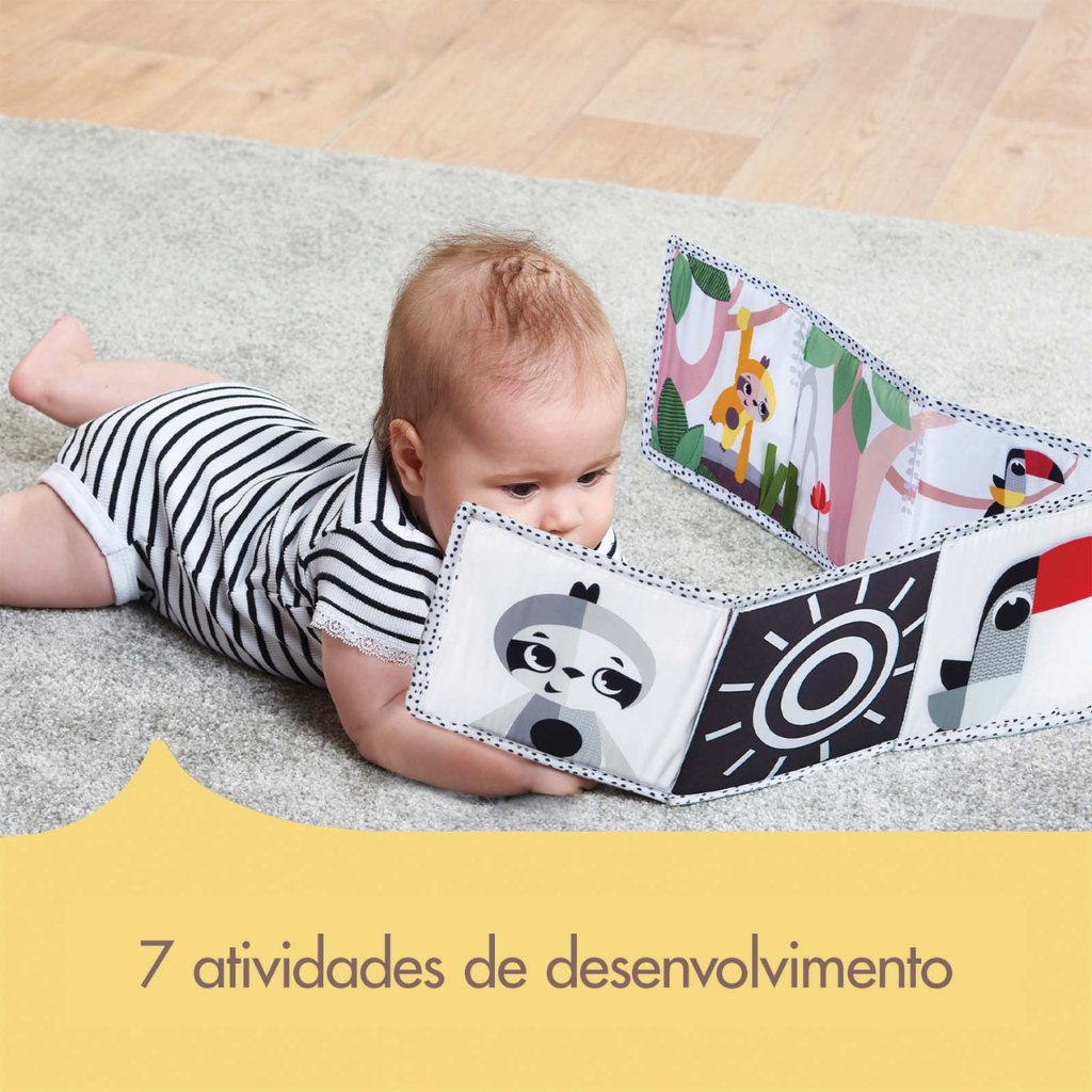 livro 6