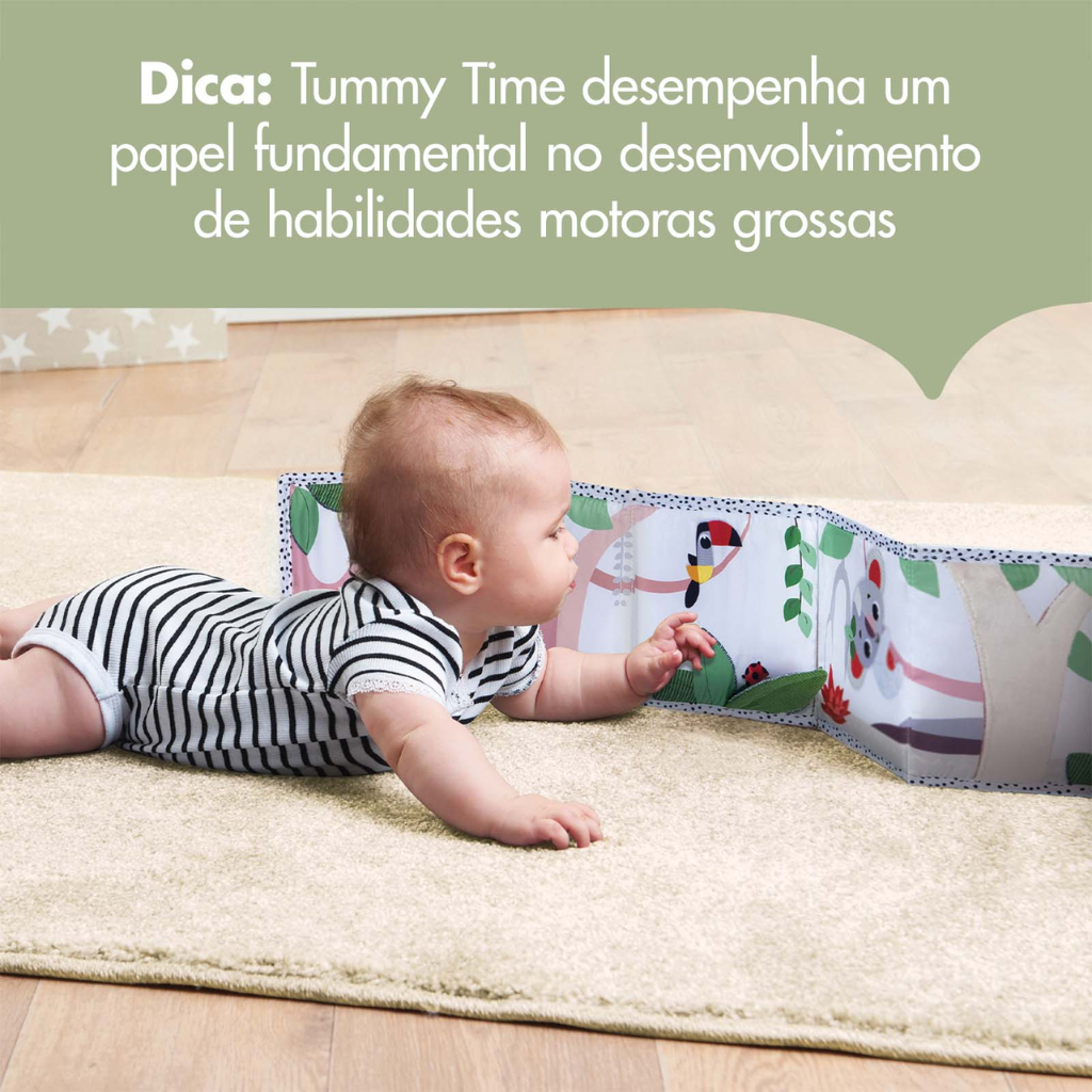 livro 5