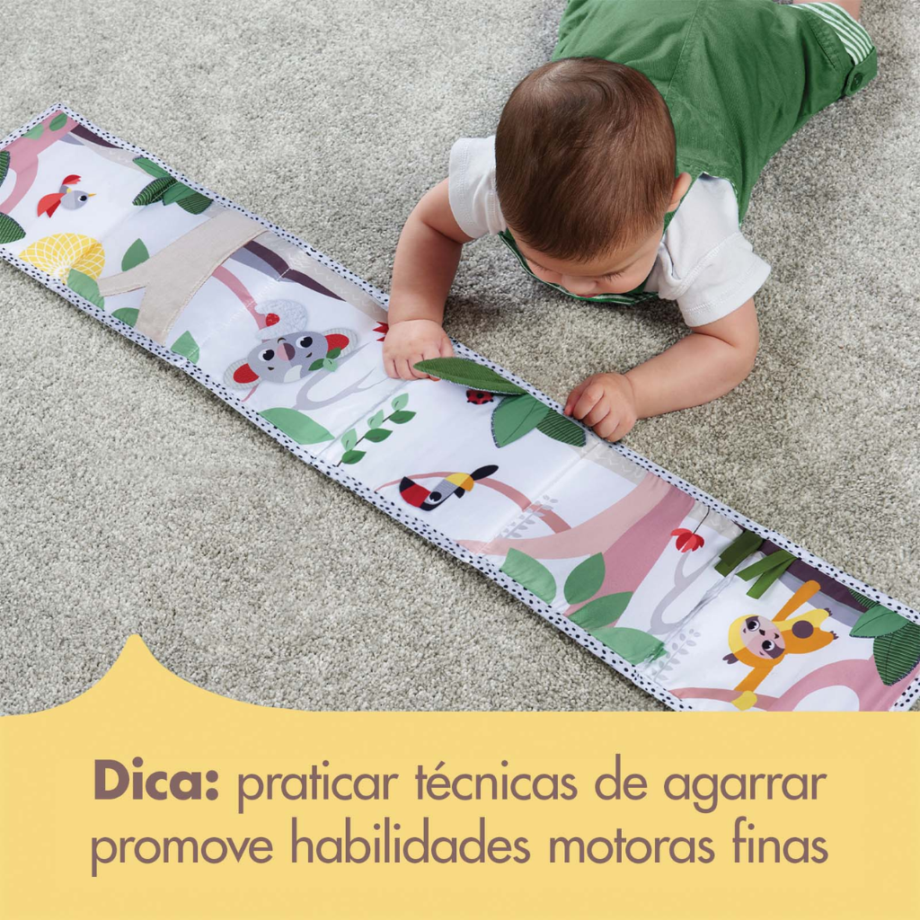 livro 4